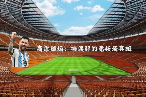 高原球场:被误解的竞技场真相